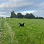 Maisy taylor - @maisy_825 - Instagram