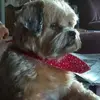 Maisy Thomas - @maisy.thomas - TikTok