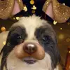 Maisy - @maisytorres - TikTok