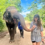 @maisy_webster - Instagram