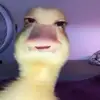 Konashi Maite Castañeda Escoba - @konashi.maite.cas - TikTok