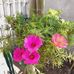 Maite Castaneda - Facebook