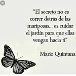 Maite Castañeda - @maite.castaneda.750 - Instagram