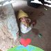 Maite Chavez - Facebook