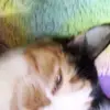 maite_duran - @maite_duran8 - TikTok