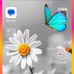 Maite Morales - Facebook