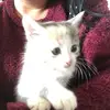 maitepradamenende - @maitepradamenende - TikTok