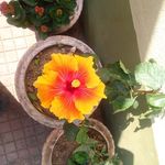 Maitreyee Dhar Ray - @maitreyeeraydhar - Instagram