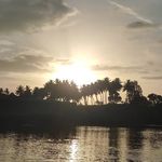 Maitreyee Joshi - @joshi.maitreyee - Instagram