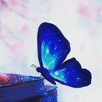 dave maitri - @maitridave1111 - Instagram