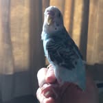 Maitri Dave - @maitri_dave_01 - Instagram