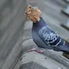 Maja Smith - @maja_smith - TikTok