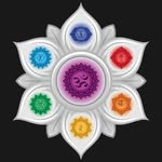 Maja Ball - @integrativetherapyclinic - Instagram