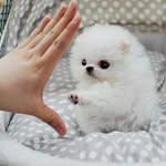 Maja Bird - @kittenz_4_life_12 - Instagram
