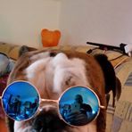Maja ,Dieter und Bette Davis und Bolle - Facebook