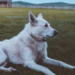 Maja - @maja.decker2020 - Instagram