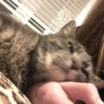 Maja Edwards - Facebook