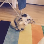 Maja Gordon - @littlemajs96 - Instagram