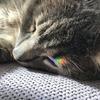 Hi😻 - @maja.holt - TikTok