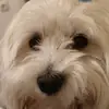 janjetovicmaja - @janjetovicmaja - TikTok