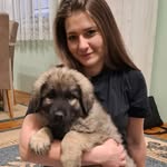 Маријана Јовановић - @maja__jovanovic_ - Instagram