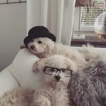 Mattias Jaking - @majaking - Instagram