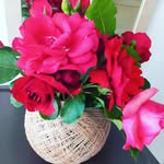 Maja Luković - @dekorativne_kuglice - Instagram