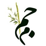 ماجم | اورگانیک | سلامتی - @majam.organic - Instagram