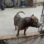 Mario Ortiz - @majaortiz1508 - Instagram