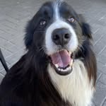 Maja Perković - @majaper702 - Instagram