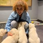 Maja Petersen - Facebook