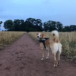 Maja Rose - @maja_rose_adventures - Instagram