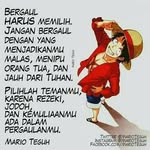 Roy Maja - @majaroy - Instagram
