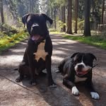 Maja Schmidt - @buddy_und_bummi - Instagram