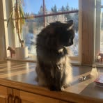 Maja Scott Remin - Facebook