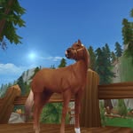 🐴🤪_Maja Snowwin_🤪🐴 - @_maja_snowwin_ - Instagram