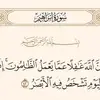 majeda_ibrahim - @majeda_ibrahim - TikTok