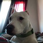 Majid Cobbs - @majid.cobbs - Instagram