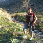 majid daneshvar - @daneshvar4768 - Instagram