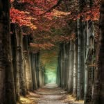 majid daneshvar - @majiddaneshvaa - Instagram