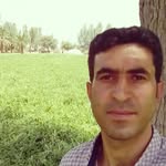 Majid Daneshvar - @majid_daneshvar60 - Instagram