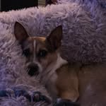 Major Baker - @__major.and.brees__ - Instagram