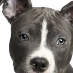 Theia - @majorbaker1612 - Instagram
