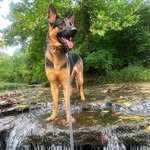 Major - @major.cain - Instagram