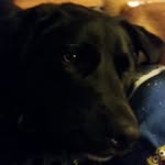 Cooper - @major_cooper1 - Instagram