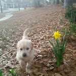 Major Cooper - @major_cooper12 - Instagram