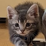 Major Green Bean - @majorgreenbean - Instagram