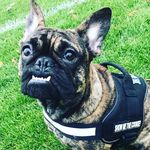 Major smith - @mr_major_smith - Instagram