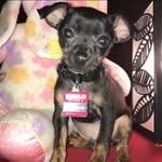 Major smith - @majorthesavage1 - Instagram