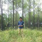 Chhim Makara - @chhimmakara - Instagram